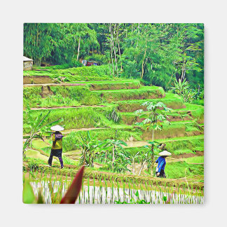 Indonesian Rice Field Magnet