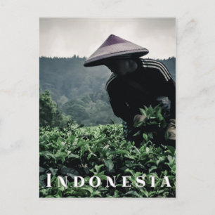 Indonesian Tea fields worker, travel postcard