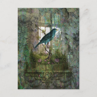 Indoor Garden with Bird Postcard