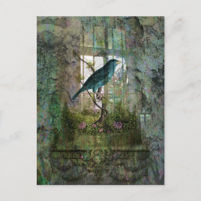 Indoor Garden with Bird Postcard (Front)