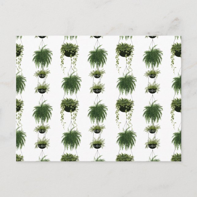 Indoor Oasis | Hanging Baskets Postcard (Front)