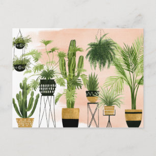 Indoor Oasis   Plant Lineup Postcard
