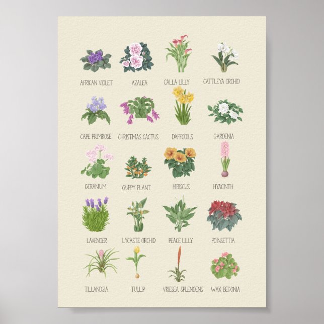 Indoor Plants + Names Gardener Plant Lovers Gift P Poster (Front)