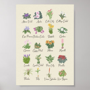 Indoor Plants + Names Gardener Plant Lovers Gift Poster