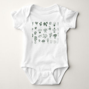 Indoor plants: vintage hand-drawn set. baby bodysuit