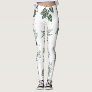 Indoor plants: vintage hand-drawn set. leggings