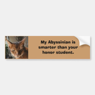 indy, My Abyssinian is smarter tha... - Customised Bumper Sticker
