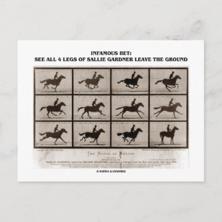 Infamous Bet 4 Legs Sallie Gardner Leave Ground Postcard