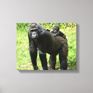 Infant Lowland Gorilla on Mother's Back Canvas Print