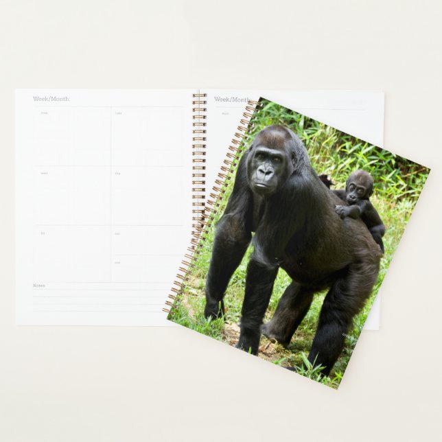 Infant Lowland Gorilla on Mother's Back Planner (Display)