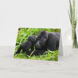 Infant Mountain Gorilla Kisses Silverback Gorilla Card