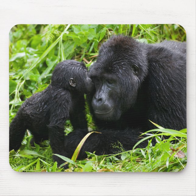 Infant Mountain Gorilla Kisses Silverback Gorilla Mouse Mat (Front)