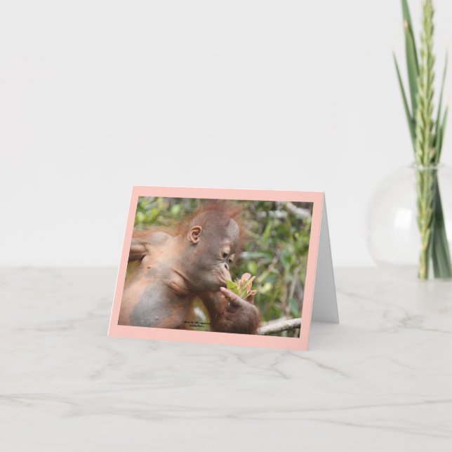 Infant Orangutan With Tropical Flower Card (Front)
