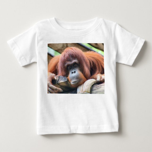 INFANTS  ORANGATANG  PRIMATE  T-SHIRT (Front)