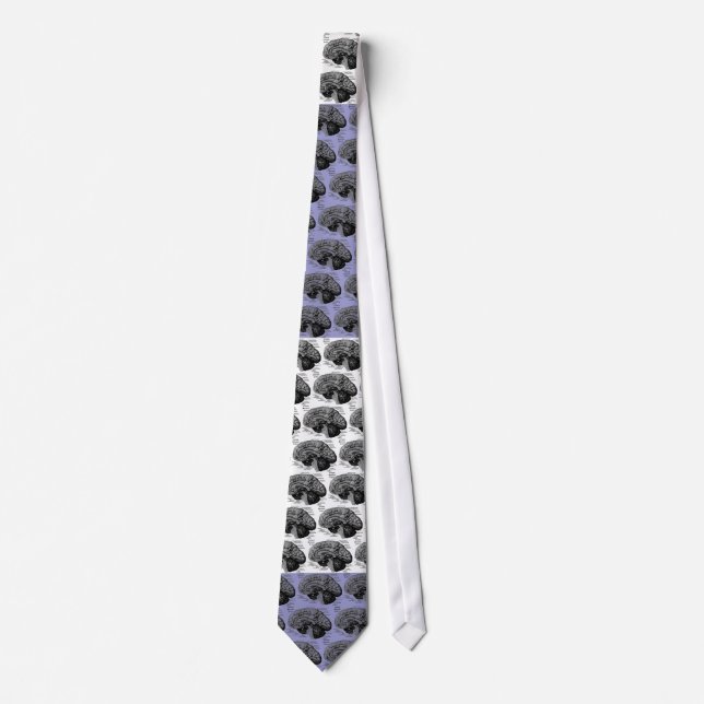 Inferior Berzerko Gyrus -  Lavender Blue White Tie (Front)