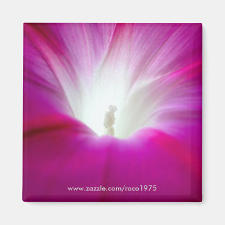 Infini (brighter) magnet