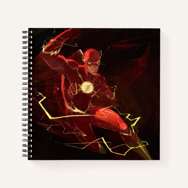 Infinite Crisis Flash Illustration Notebook (Front)