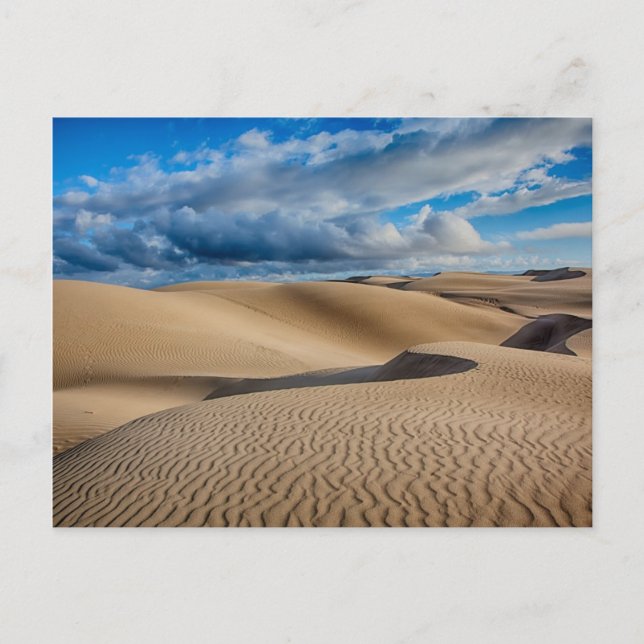 Infinite Dunes Postcard (Front)