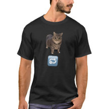 Infinite Spinning Cat