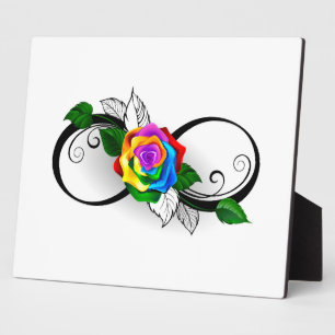 Infinity Symbol with Rainbow Rose Plaque