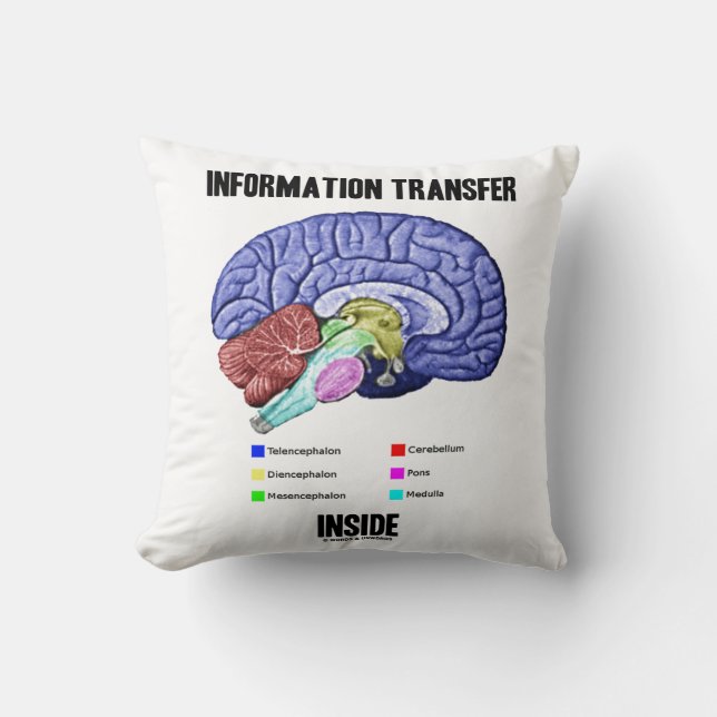 Information Transfer Inside Brain Anatomy Humour Cushion (Front)
