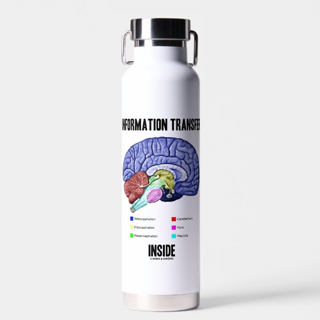 Information Transfer Inside Brain Anatomy Humour Water Bottle (Front)