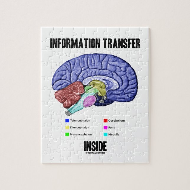 Information Transfer Inside (Brain Anatomy) Jigsaw Puzzle (Vertical)