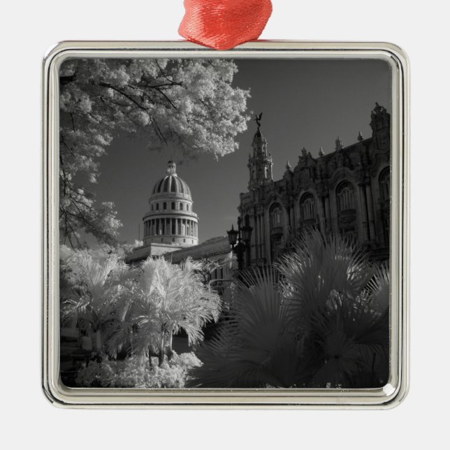 Infra red of Capitol building dome in Havana Metal Tree Decoration (Front)