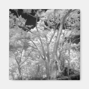 Infra red of trees buildings and trails in Las 2 Magnet