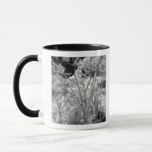 Infra red of trees buildings and trails in Las 2 Mug