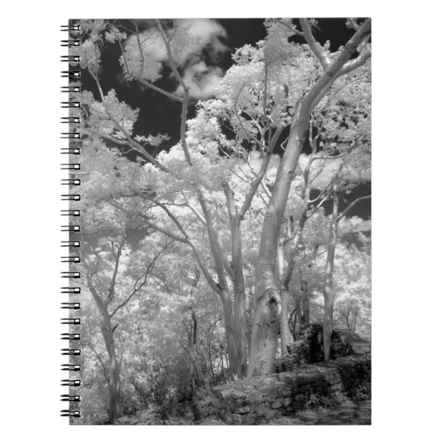 Infra red of trees buildings and trails in Las 2 Notebook (Front)