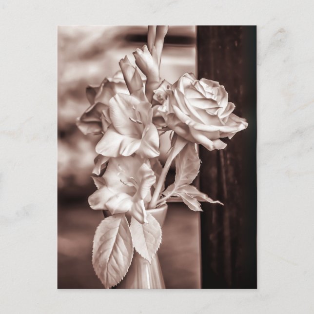 Infrared Bouquet Postcard (Front)