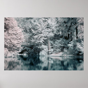 Infrared, Garden,   Paris  Poster