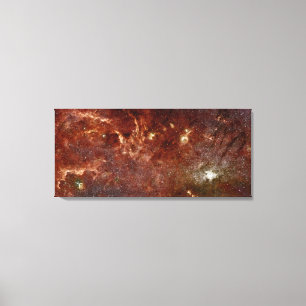 Infrared image canvas print