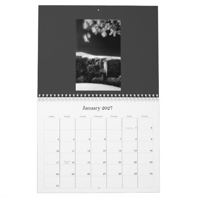 Infrared in Nature Calendar 2010 (Jan 2027)