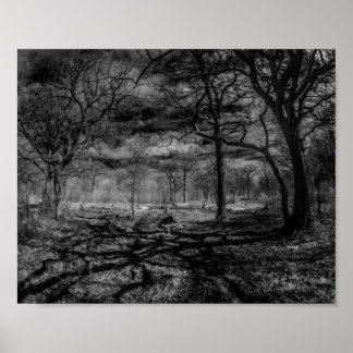 Infrared landscape shadows in the woods poster