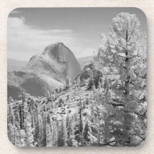Infrared photo in East side of Yosemite National 2 Coaster