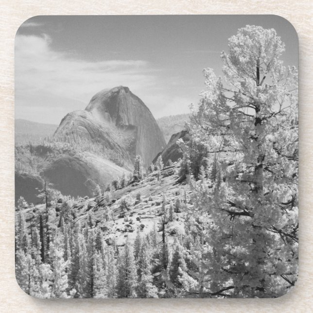 Infrared photo in East side of Yosemite National 2 Coaster (Front)