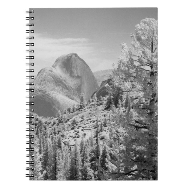 Infrared photo in East side of Yosemite National 2 Notebook (Front)