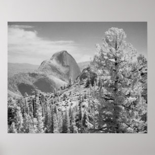 Infrared photo in East side of Yosemite National 2 Poster