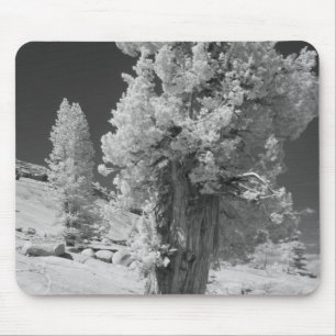 Infrared photo in East side of Yosemite National Mouse Mat