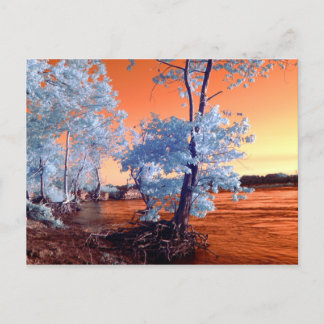 Infrared riverscape postcard