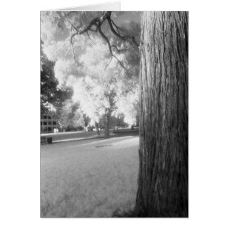 Infrared Tree