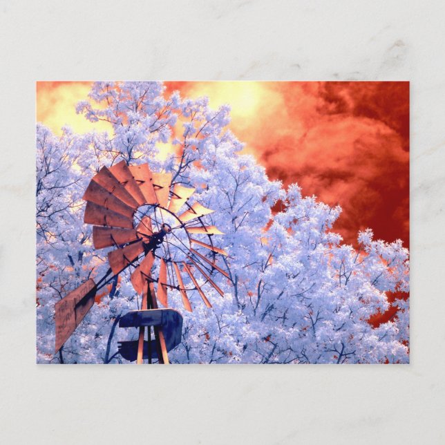 Infrared Windmill Postcard (Front)
