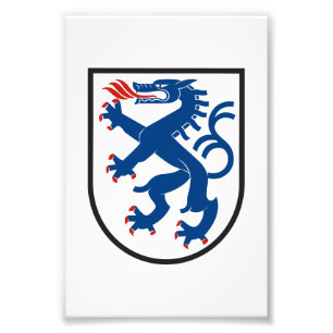 Ingolstadt city flag germany symbol emblem dragon photo print