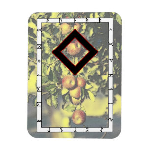 Ingwaz Viking Rune Magnet - Hero!