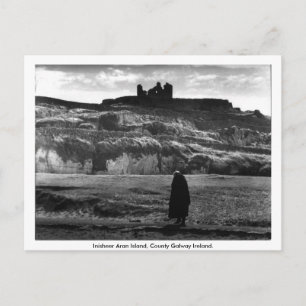 Inisheer Aran Island, Co. Galway Ireland Postcard