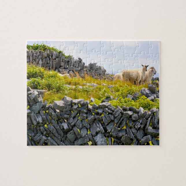 Inisheer Aran Islands Galway Ireland. Jigsaw Puzzle (Horizontal)