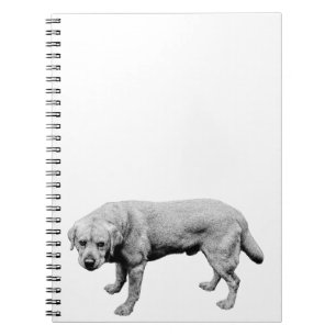 Ink Grain Reflections Notebook