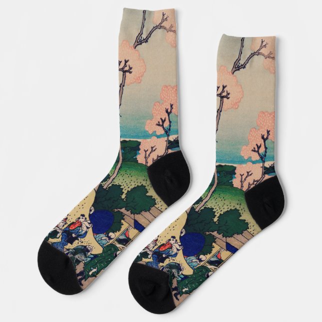 Ink Graphic Asian Gardens Landscape Socks (Left)